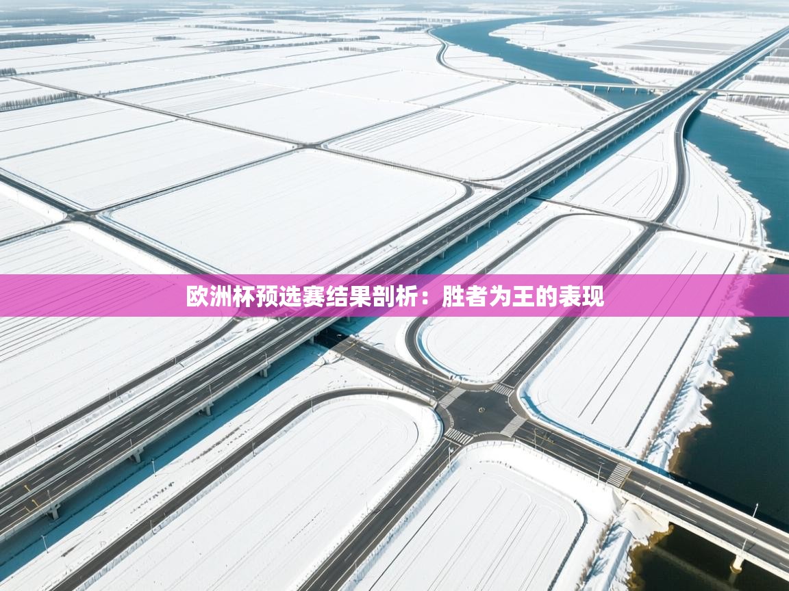 欧洲杯预选赛结果剖析：胜者为王的表现  第2张